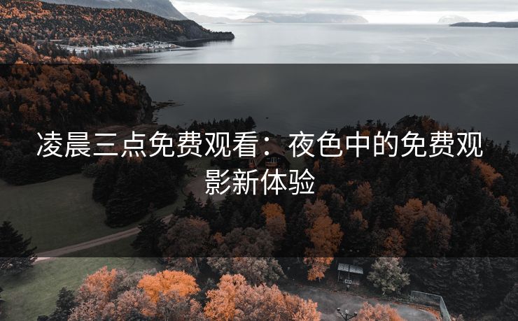 凌晨三点免费观看：夜色中的免费观影新体验