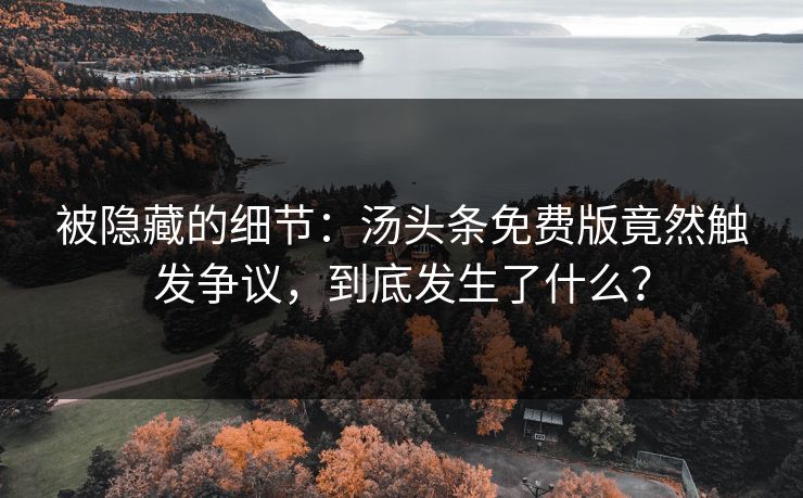 被隐藏的细节：汤头条免费版竟然触发争议，到底发生了什么？