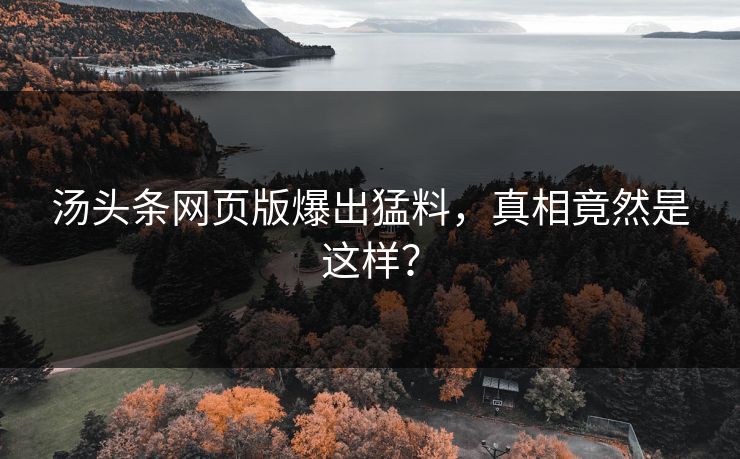 汤头条网页版爆出猛料，真相竟然是这样？