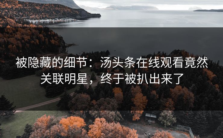 被隐藏的细节：汤头条在线观看竟然关联明星，终于被扒出来了
