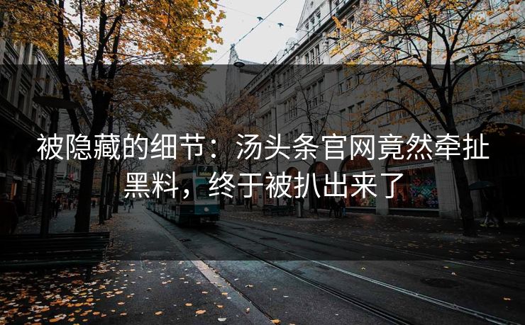 被隐藏的细节：汤头条官网竟然牵扯黑料，终于被扒出来了