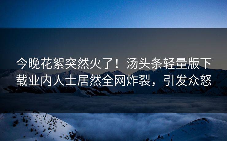 今晚花絮突然火了！汤头条轻量版下载业内人士居然全网炸裂，引发众怒