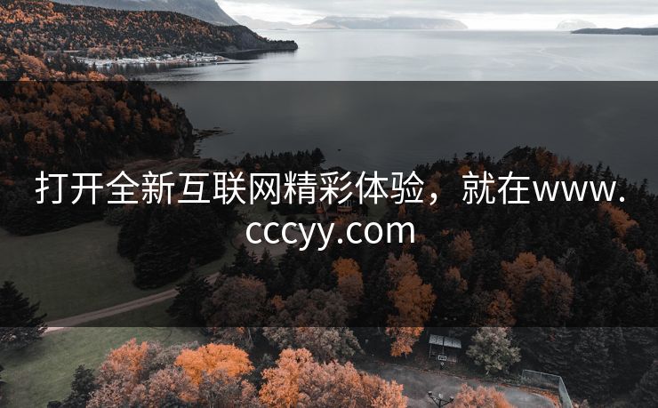 打开全新互联网精彩体验，就在www.cccyy.com