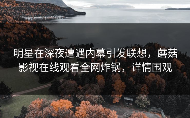 明星在深夜遭遇内幕引发联想，蘑菇影视在线观看全网炸锅，详情围观