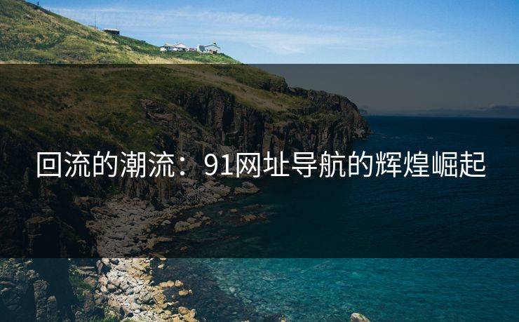 回流的潮流：91网址导航的辉煌崛起